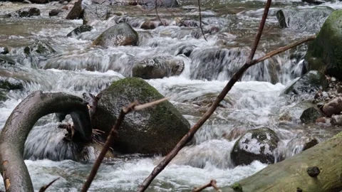 Flowing Creek in 4K 스톡 동영상 167030077
