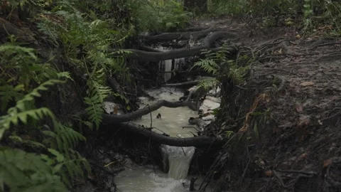 Flowing Creek With Brush Stock Footage 132434933