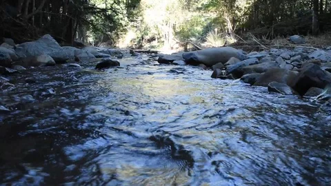 Flowing Creek downstream Stock Footage 75125229