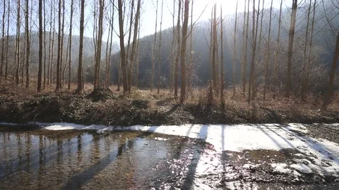 Flowing creek in early spring forest, with melting snow Stock Footage 72623767