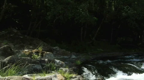 Flowing creek 動画素材 97031