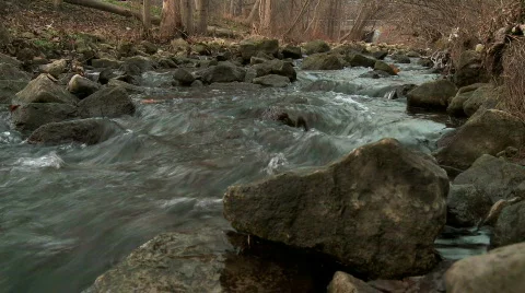 Flowing creek Video stock 291938