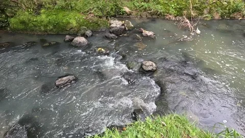 Flowing Creek Stock Footage 218348811