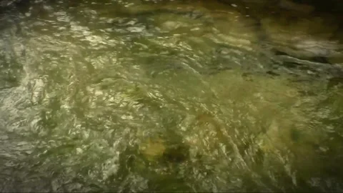 Flowing Creek Stock Footage 270501233