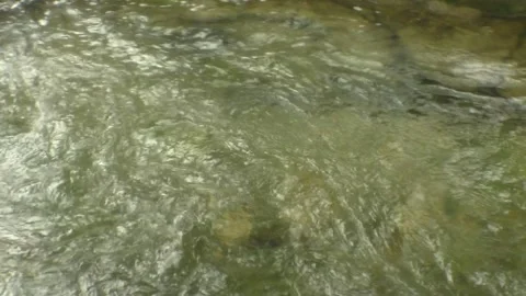 Flowing Creek Stock Footage 270501235