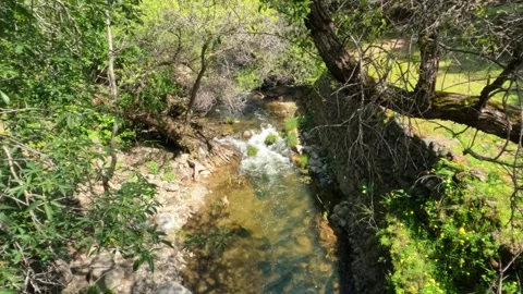 Flowing Creek Stock Footage 271224143