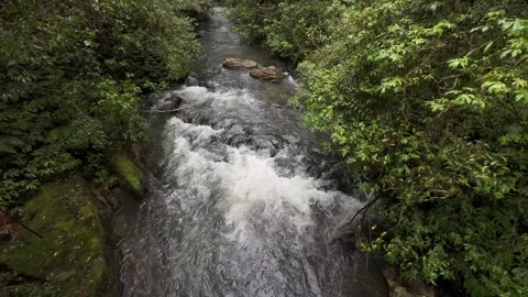 Flowing creek Stock Footage 322687716