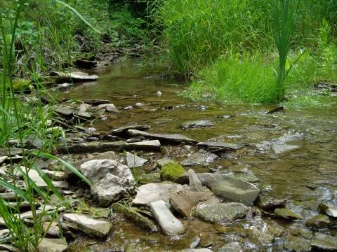 Flowing creek Stock Photos