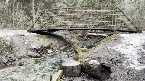 Flowing creek under bridge Stock Footage 168585697