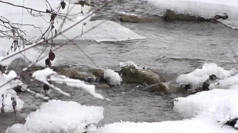 Flowing creek at winter Stock-Footage 262076291