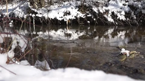 Flowing creek at winter Stock Footage 262437376