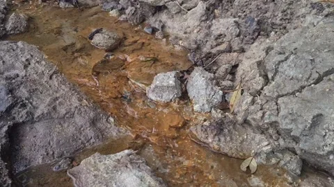 Flowing crystal clear waters Stock Footage 196022729