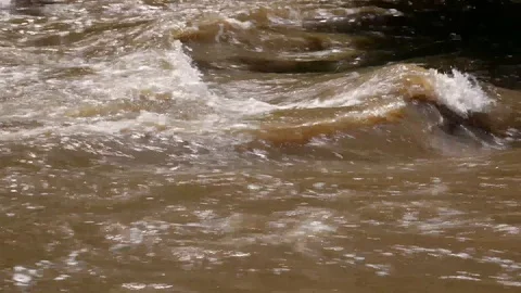 Flowing dirty Olt river close up shot Stock Footage 108648752