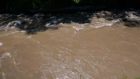 Flowing dirty Olt river  at springtime Stock Footage 108648414