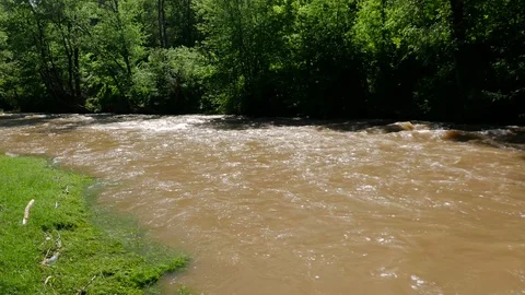 Flowing dirty Olt river  at springtime Stock Footage 108648738