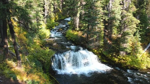 Flowing Fall Creek Falls Oregon, Stock Footage 144413401