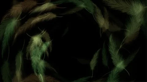 Flowing feathers on black background- Stock Illustration