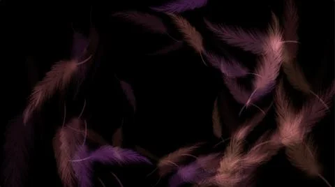 Flowing feathers on black background- Illustrazione stock