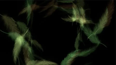 Flowing feathers on black background Stock Illustration