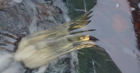 Flowing ferrous water close up in winter season Harz mountains Germany Stock Footage 235513591
