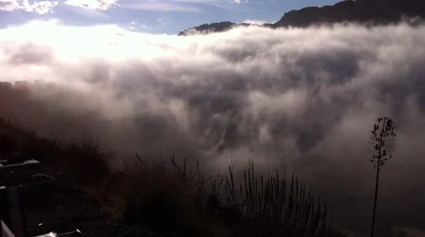 Flowing fog Stock Footage