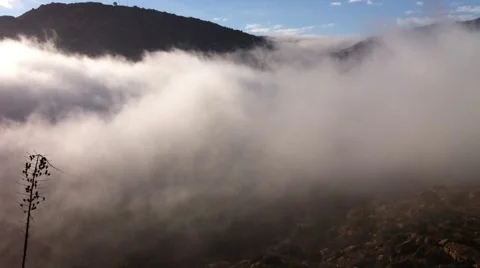 Flowing fog Stock Footage 888942