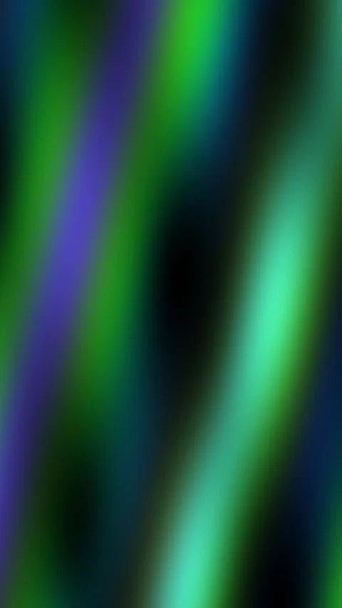 Flowing forest aurora Stock Footage 311028087
