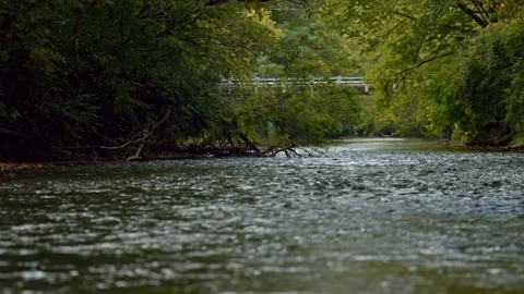 Flowing Forest River Stock Footage 244364518