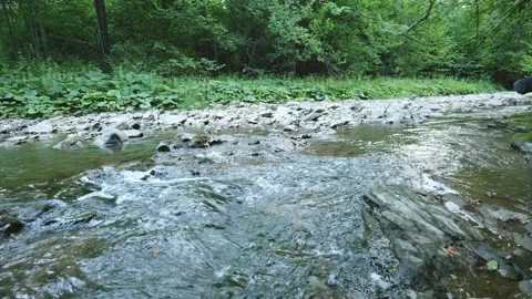Flowing Forest River Over Rocks Stock-Footage 330934801
