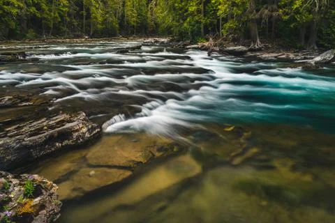 Flowing forest river. Stock Photos