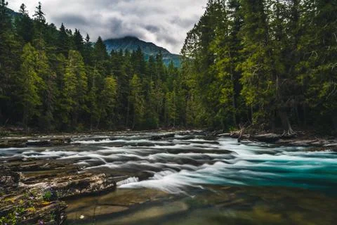 Flowing forest river. Stock Photos