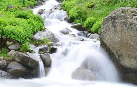 Flowing Forest Stream with Mountain Background Stock Photos