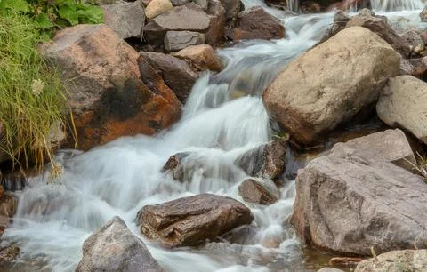 Flowing Forest Stream with Mountain Background Stock Photos
