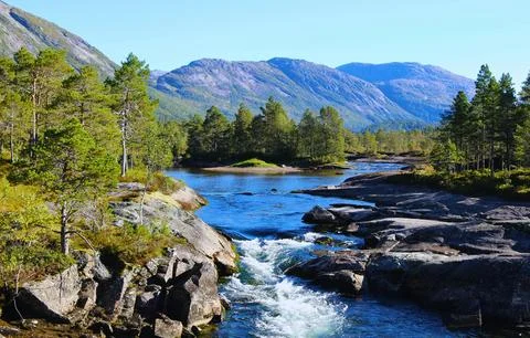 Flowing Forest Stream with Mountain Background Stock Photos