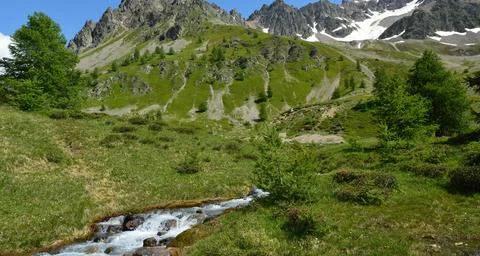 Flowing Forest Stream with Mountain Background Stock Photos