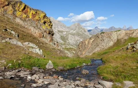 Flowing Forest Stream with Mountain Background Stock Photos