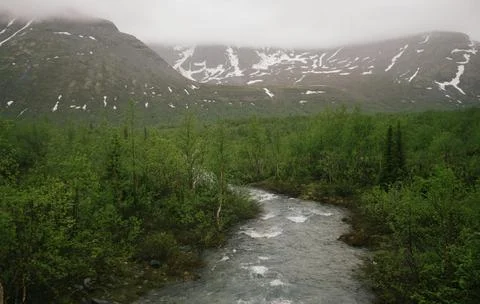 Flowing Forest Stream with Mountain Background Stock Photos