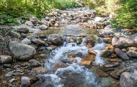 Flowing Forest Stream with Mountain Background Stock Photos