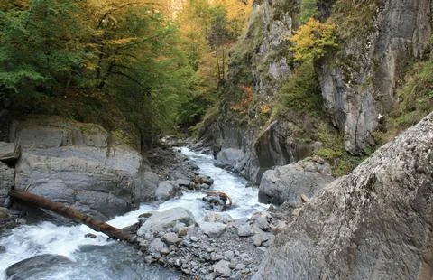 Flowing Forest Stream with Mountain Background Stock Photos