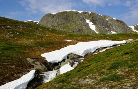Flowing Forest Stream with Mountain Background Stock Photos