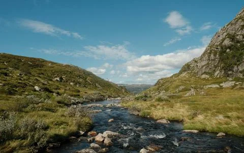 Flowing Forest Stream with Mountain Background Stock Photos