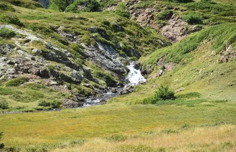 Flowing Forest Stream with Mountain Background Stock Photos