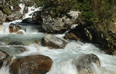 Flowing Forest Stream with Mountain Background Stock Photos