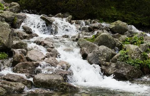 Flowing Forest Stream with Mountain Background Stock Photos