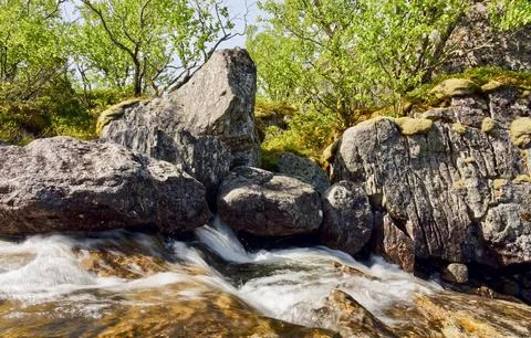 Flowing Forest Stream with Mountain Background Stock Photos