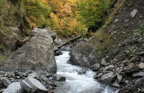 Flowing Forest Stream with Mountain Background Stock Photos