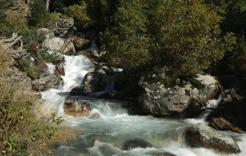 Flowing Forest Stream with Mountain Background Stock Photos