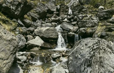 Flowing Forest Stream with Mountain Background Stock Photos
