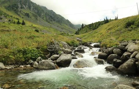Flowing Forest Stream with Mountain Background Stock Photos