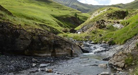 Flowing Forest Stream with Mountain Background Stock Photos